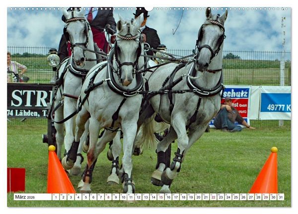 Produktbild: Viersp&auml;nner Herausforderung Fahrsport (hochwertiger Premium Wandkalender 2026 DIN A2 quer), Kunstdruck in Hochglanz
