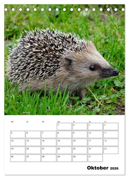 Produktbild: Heimische Wildtiere Terminplaner (Tischkalender 2026 DIN A5 hoch), CALVENDO Monatskalender