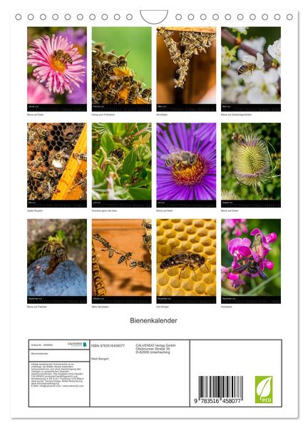 Produktbild: Bienenkalender (Wandkalender 2026 DIN A4 hoch), CALVENDO Monatskalender