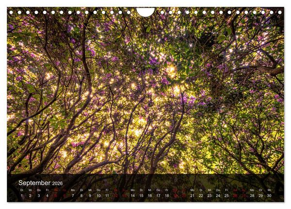 Produktbild: Wundervolle Naturlandschaften (Wandkalender 2026 DIN A4 quer), CALVENDO Monatskalender