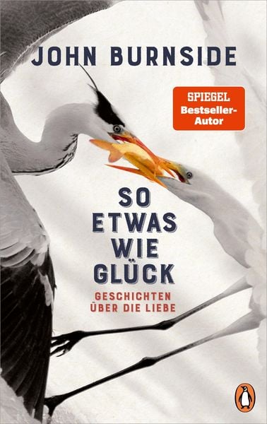 Produktbild: So etwas wie Gl&uuml;ck