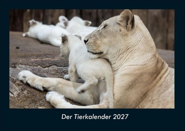 Produktbild: Der Tierkalender 2027 Fotokalender DIN A4