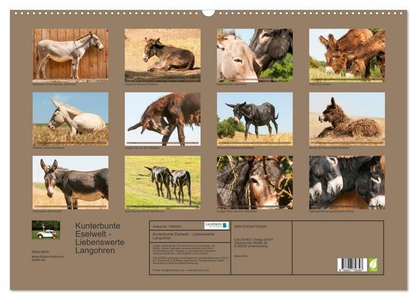Produktbild: Kunterbunte Eselwelt - Liebenswerte Langohren (Wandkalender 2026 DIN A2 quer), CALVENDO Monatskalender