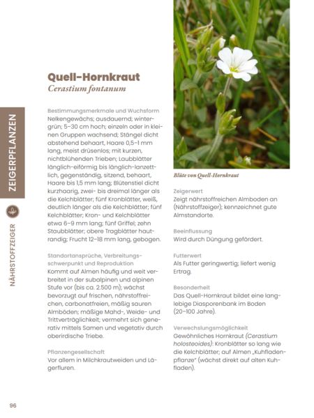 Produktbild: Praxisf&uuml;hrer Almpflanzen