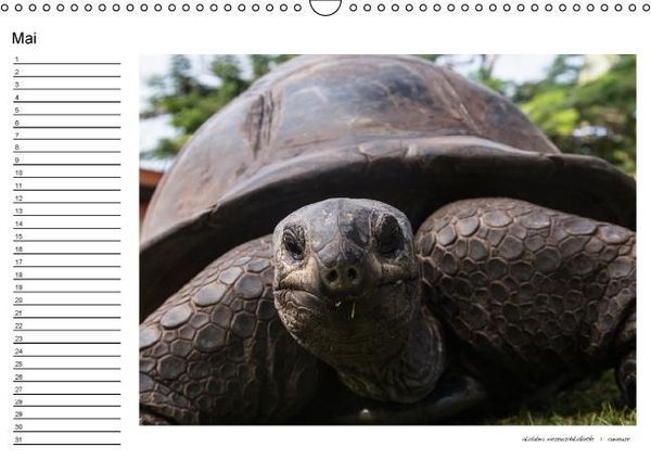 Produktbild: die seychellen - ganz nah am paradies (Wandkalender immerw&auml;hrend DIN A3 quer)
