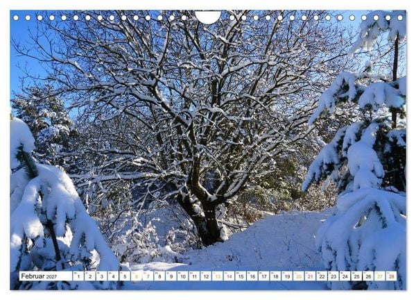 Produktbild: 12 Monate Natur (Wandkalender 2027 DIN A4 quer), CALVENDO Monatskalender