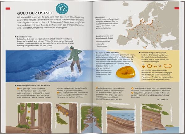 Produktbild: Baedeker Reiseführer Usedom