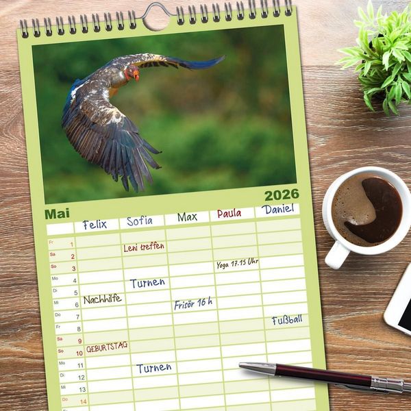 Produktbild: Familienplaner 2026 - Costa Ricas gefiederte Pracht mit 5 Spalten (Wandkalender, 21 x 45 cm) CALVENDO