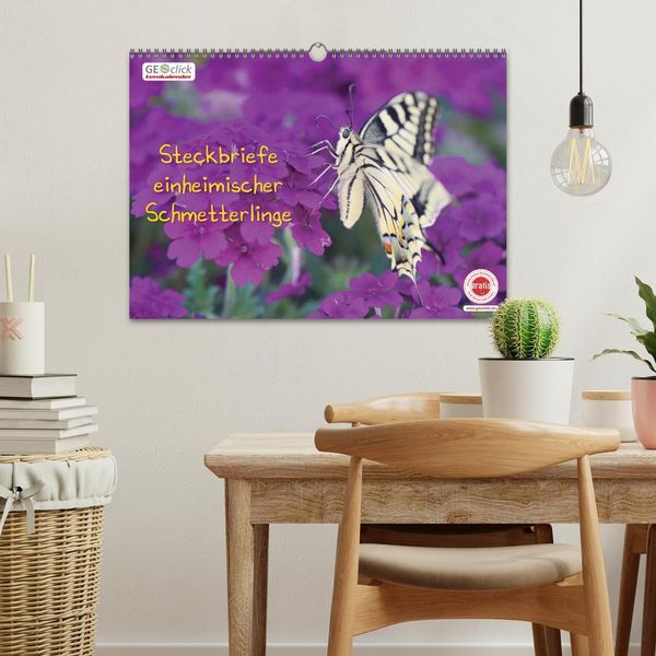 Produktbild: GEOclick Lernkalender: Steckbriefe einheimischer Schmetterlinge (Wandkalender 2026 DIN A3 quer), CALVENDO Monatskalender