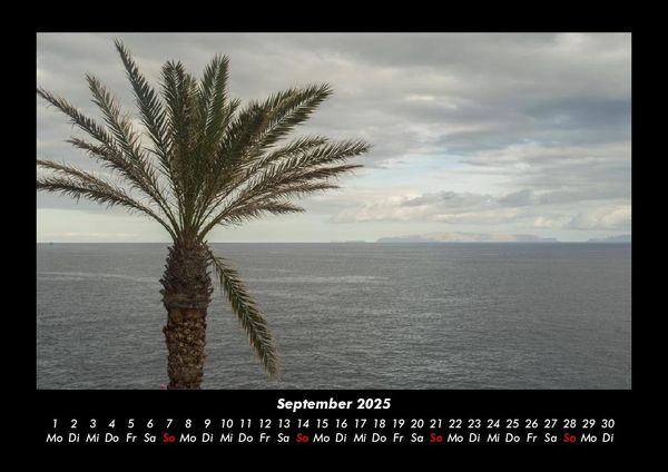 Produktbild: Palmentraum 2025 Fotokalender DIN A3