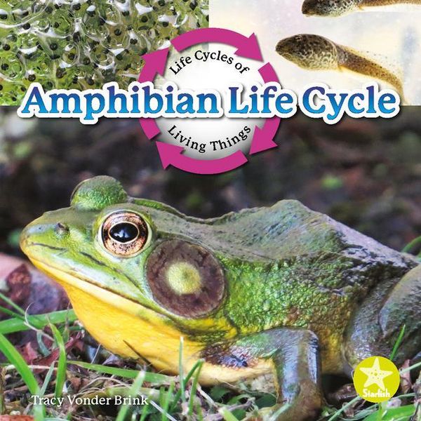 Produktbild: Amphibian Life Cycle