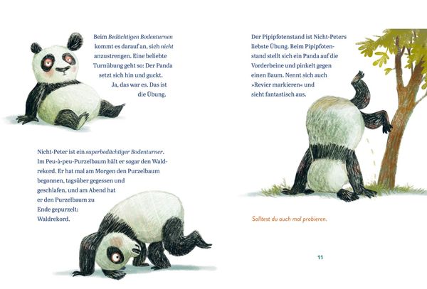 Produktbild: Panda-Pand