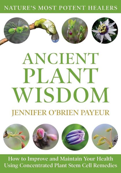 Produktbild: Ancient Plant Wisdom