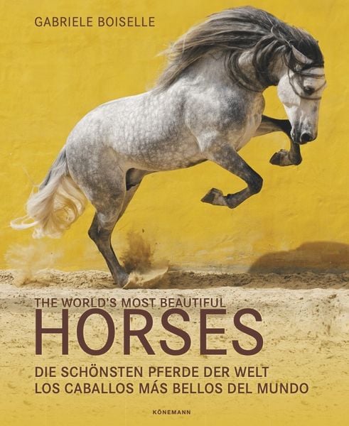 Produktbild: The World's Most Beautiful Horses