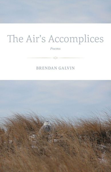 Produktbild: The Air's Accomplices