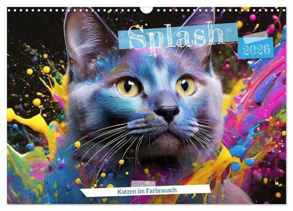 Produktbild: Splash - Katzen im Farbrausch (Wandkalender 2026 DIN A3 quer), CALVENDO Monatskalender