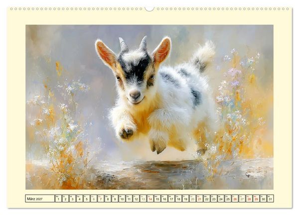 Produktbild: Zwergziegen. Kleine Wirbelwinde im Sonnenschein (hochwertiger Premium Wandkalender 2027 DIN A2 quer), Kunstdruck in Hochglanz