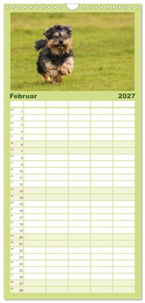 Produktbild: Familienplaner 2027 - Havaneser - Wirbelwinde aus Kuba mit 5 Spalten (Wandkalender, 21 x 45 cm) CALVENDO
