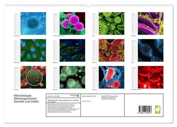 Produktbild: Mikrobiologie. Mikroorganismen, Genetik und Zellen (hochwertiger Premium Wandkalender 2026 DIN A2 quer), Kunstdruck in Hochglanz