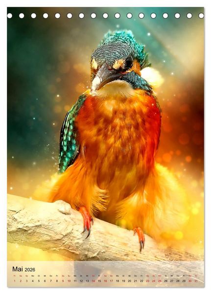 Produktbild: Schillernder Eisvogel (Tischkalender 2026 DIN A5 hoch), CALVENDO Monatskalender