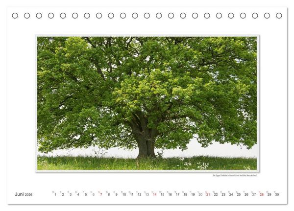 Produktbild: Emotionale Momente: Altenkirchen - der lebenswerte Landkreis im Norden des Westerwaldes. (Tischkalender 2026 DIN A5 quer), CALVENDO Monatskalender