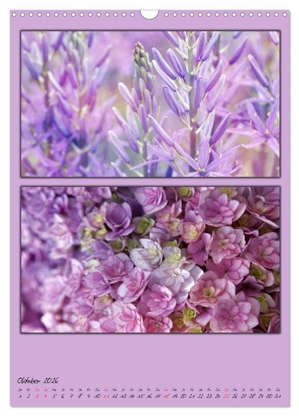 Produktbild: Farbtupferl der Natur (Wandkalender 2026 DIN A3 hoch), CALVENDO Monatskalender