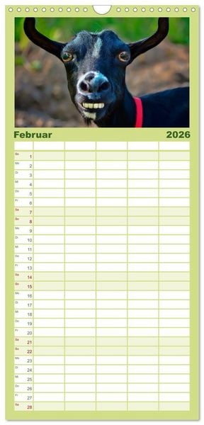 Produktbild: Familienplaner 2026 - Lustig und verr&uuml;ckt - der ganz andere Tierkalender mit 5 Spalten (Wandkalender, 21 x 45 cm) CALVENDO