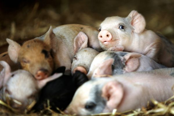 Produktbild: Unsere gro&szlig;e kleine Farm