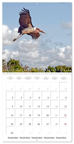Produktbild: Destination Lamu (Wall Calendar 2026 12 &times; 12 Inch) CALVENDO 12 Month Wall Calendar