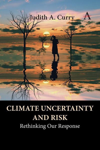 Produktbild: Climate Uncertainty and Risk