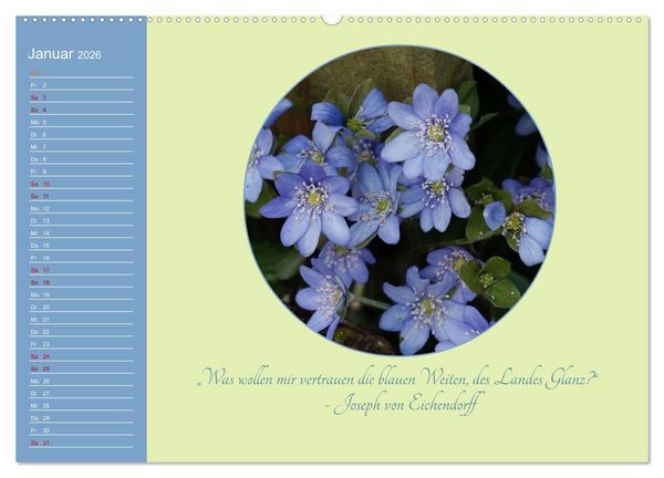 Produktbild: Flora in royalem Blau (hochwertiger Premium Wandkalender 2026 DIN A2 quer), Kunstdruck in Hochglanz