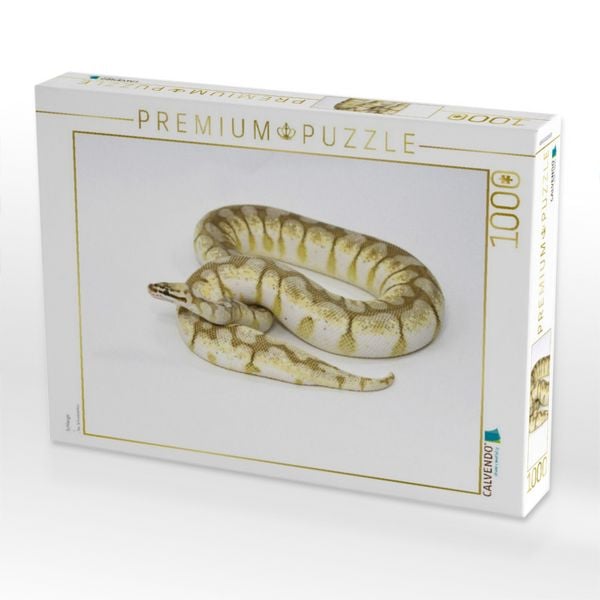 Produktbild: CALVENDO Puzzle Schlange | 1000 Teile Lege-Gr&ouml;&szlig;e 64x48cm Foto-Puzzle f&uuml;r gl&uuml;ckliche Stunden