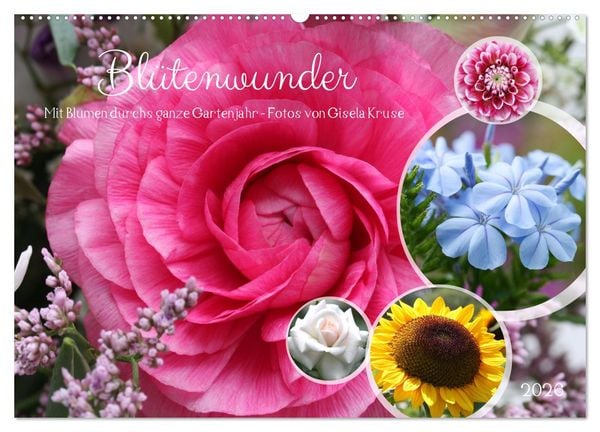 Blütenwunder - Mit Blumen durchs ganze Gartenjahr (Wandkalender 2026 DIN A2 quer), CALVENDO Monatskalender