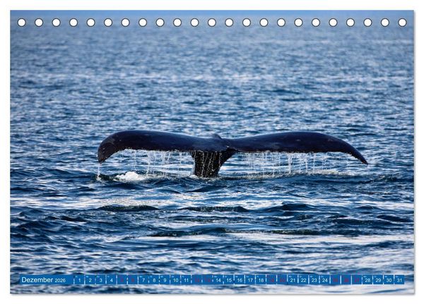 Produktbild: Von Vancouver nach Alaska (Tischkalender 2026 DIN A5 quer), CALVENDO Monatskalender