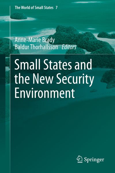 Produktbild: Small States and the New Security Environment