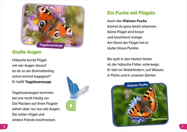 Produktbild: WAS IST WAS Erstes Lesen easy! Unsere Schmetterlinge