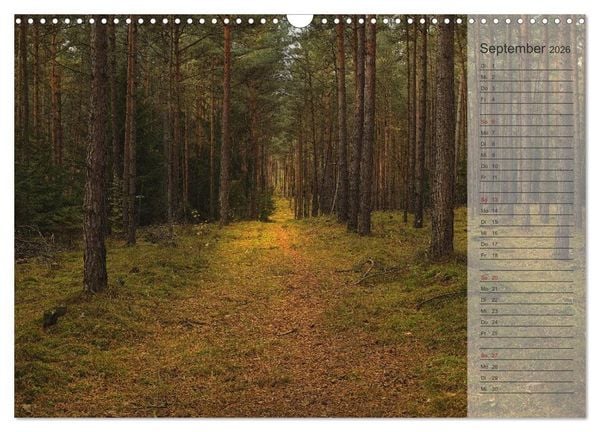Produktbild: Unser Wald - Magische Sichten in norddeutsche W&auml;lder / Geburtstagskalender (Wandkalender 2026 DIN A3 quer), CALVENDO Monatskalender