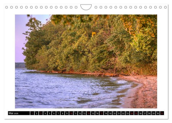 Produktbild: Die M&uuml;ritz - Naturparadies der Mecklenburgischen Seenplatte (Wandkalender 2026 DIN A4 quer), CALVENDO Monatskalender