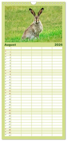 Produktbild: Familienplaner 2026 - Feldhasen und Kaninchen mit 5 Spalten (Wandkalender, 21 x 45 cm) CALVENDO