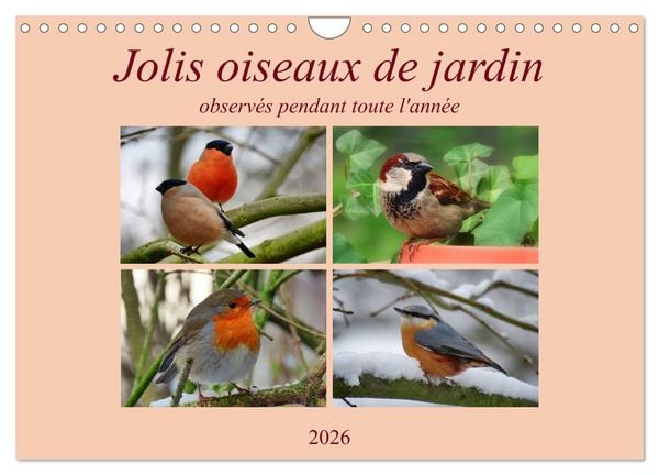 Jolis oiseaux de jardin (Calendrier mural 2026 DIN A4 vertical), CALVENDO calendrier mensuel