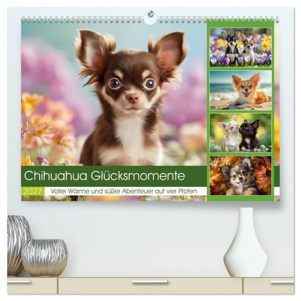 Produktbild: Chihuahua Gl&uuml;cksmomente (hochwertiger Premium Wandkalender 2027 DIN A2 quer), Kunstdruck in Hochglanz