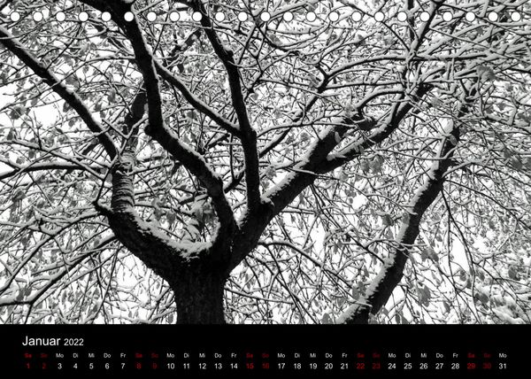 Produktbild: SchwarzWeiss gesehen (Tischkalender 2022 DIN A5 quer)