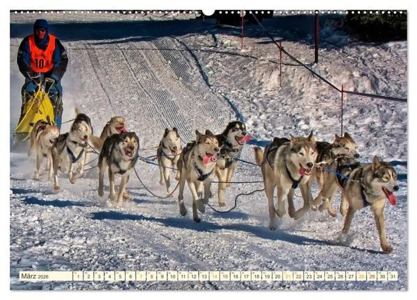 Produktbild: B&uuml;hne frei f&uuml;r - Alaska (hochwertiger Premium Wandkalender 2026 DIN A2 quer), Kunstdruck in Hochglanz