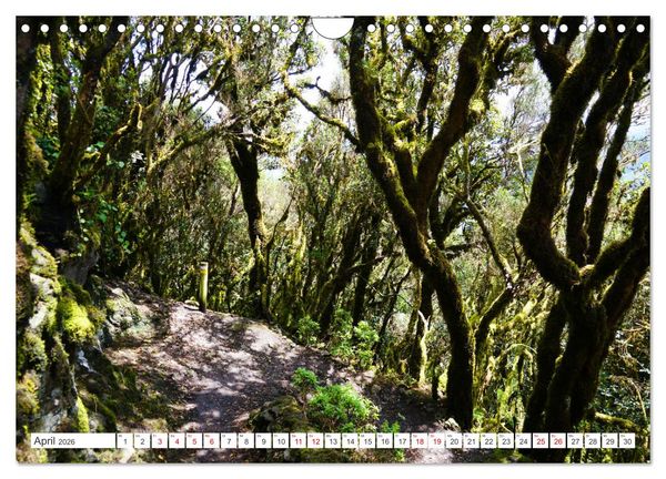 Produktbild: Puerto de la Cruz. Teneriffa Urlaub. (Wandkalender 2026 DIN A4 quer), CALVENDO Monatskalender