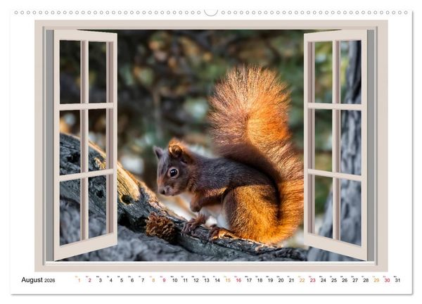 Produktbild: Fenstergucker - tierische Freunde an der Wand (Wandkalender 2026 DIN A2 quer), CALVENDO Monatskalender