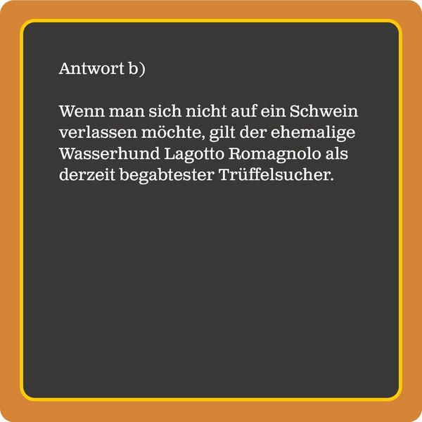 Produktbild: Das Hunde-Quiz (Neuauflage)