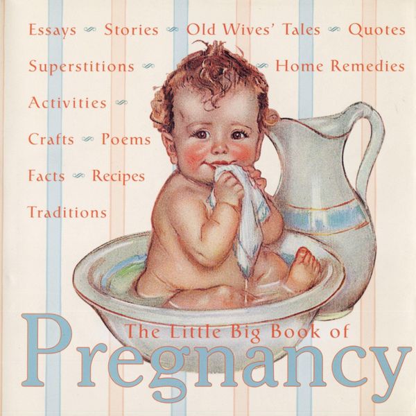 Produktbild: The Little Big Book of Pregnancy
