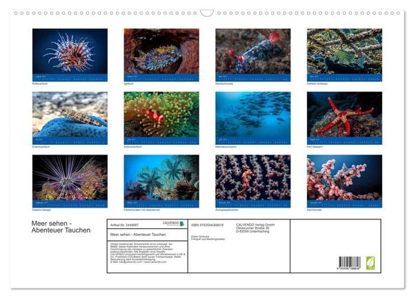 Produktbild: Meer sehen - Abenteuer Tauchen (Wandkalender 2027 DIN A2 quer), CALVENDO Monatskalender