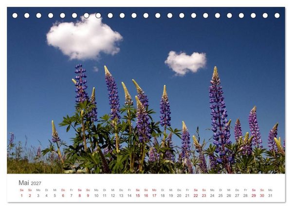Produktbild: Nordisch gut - Schweden (Tischkalender 2027 DIN A5 quer), CALVENDO Monatskalender