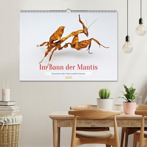 Produktbild: Im Bann der Mantis (Wandkalender 2026 DIN A2 quer), CALVENDO Monatskalender